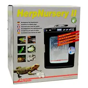 Brutmaschine lucky reptile effizienter inkubator fuer reptilien eier
