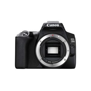 Canon-Spiegereflexkamera Canon EOS 250D Digitale Spiegelreflexkamera