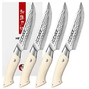 Damast steakmesser hezhen steakmesser set 4pcs 67 lagen damast