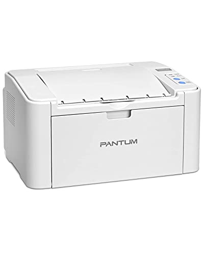 Drucker bis 150 Euro PANTUM P2502W Laserdrucker, Monolaser