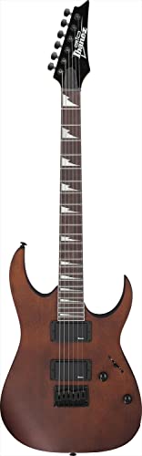 E-Gitarre Ibanez GRG121DX GIO Range, Electric Guitar, Walnut Flat