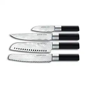Felix messer felix solingen absolute ml messer set stahl