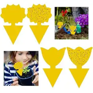 Fliegenfalle geekerchip 50pcs gelbtafelngelbsticker