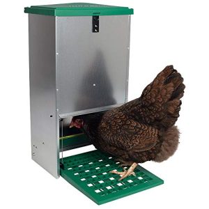 Futterautomat Hühner horizont Gefluegelfutterautomat Anti-Insekt