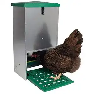 Futterautomat huehner horizont gefluegelfutterautomat anti insekt
