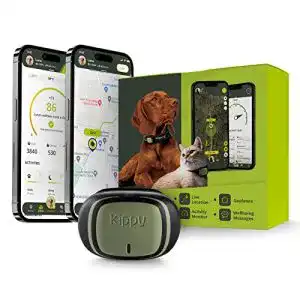 Gps fuer katzen kippy evo gps hundefinder fuer hunde