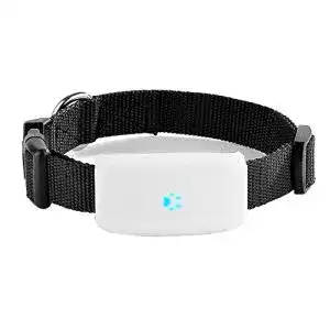 Gps fuer katzen tkmars gps tracker fuer hunde ohne abo