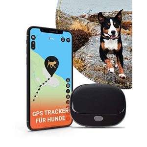 Cão rastreador GPS