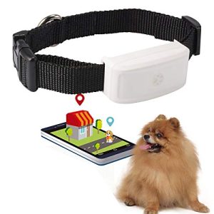 GPS-Tracker Hund Zeerkeer Mini GPS Locator Echtzeit Klein