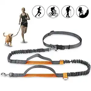 Hunde joggingleine achort handfreie hundeleine