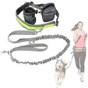 Hunde joggingleine cadrim hundeleine fuer jogging und laufen