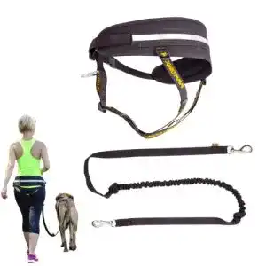 Hunde joggingleine dingo waldemar rutkowski dingo