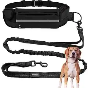 Hunde joggingleine edipets joggingleine hunde freihaendig