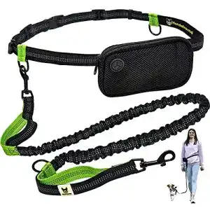 Hunde joggingleine hundefreund joggingleine fuer kleine hunde