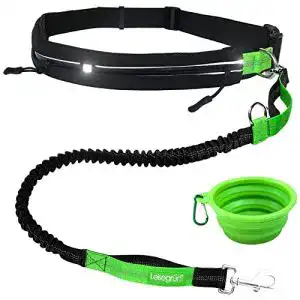 Hunde joggingleine leisegruen joggingleine fuer grosse hunde