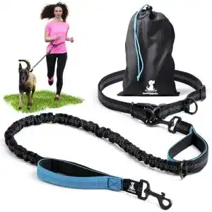 Hunde joggingleine sparklypets joggingleine fuer hunde