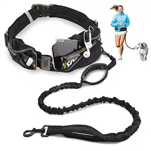 Hunde joggingleine sport2people guerteltasche mit joggingleine