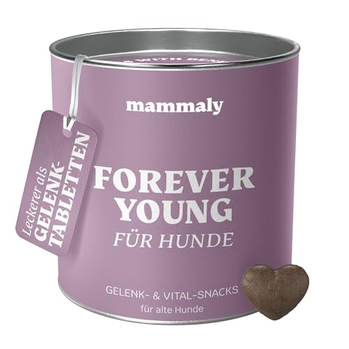 Hundeleckerlies mammaly ® Forever Young Senior Snack - hundeleckerlies mammaly forever young senior snack