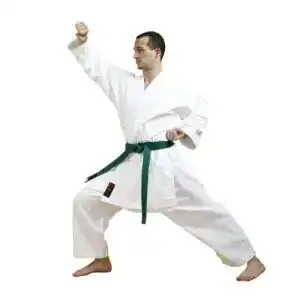 Karateanzug chikara 9 oz bushi kampfsportanzug karate kinder