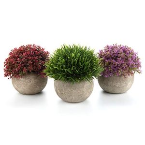 Kunstpflanzen T4U Kunstpflanze Künstliche Blumen Gras Bonsai