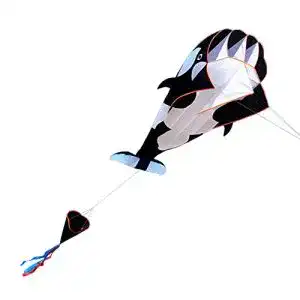 Lenkdrachen lixada 3d kinder erwachsene drachen riesiger