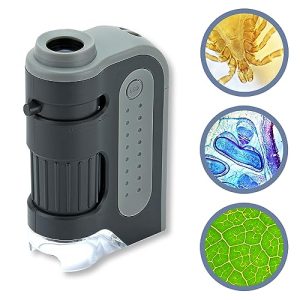 Mikroskop CARSON MicroBrite Plus 60x-120x LED Taschen - mikroskop carson microbrite plus 60x 120x led taschen
