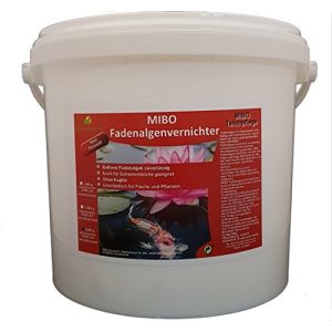 Mittel gegen Fadenalgen MIBO-Aquaristik MIBO