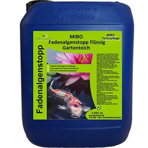 Mittel gegen Fadenalgen MIBO-Aquaristik MIBO