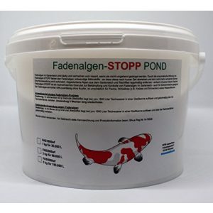 Mittel gegen Fadenalgen WFW wasserflora 1 kg Fadenalgen-STOPP
