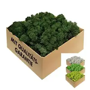 Moos gjs island konserviertes in 200g 500g 1kg 4kg