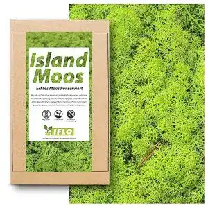 Moos inter flowers echtes natur deko zum basteln