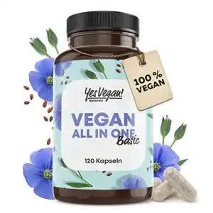 Nahrungsergaenzungsmittel fuer veganer kastingers vegan