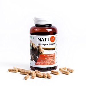Nattokinase NATTO BIO (getrocknet in Kapseln) 120 vegane Kapseln
