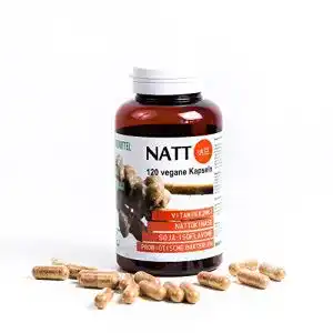 Nattokinase natto bio getrocknet in kapseln 120 vegane kapseln