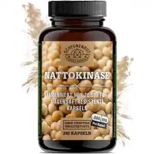 Nattokinase scheunengut neu 240 kapseln je 100mg 20 000 fu g