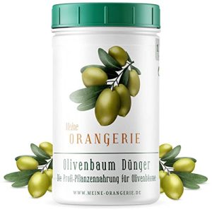 Palmendünger Meine Orangerie Olivenbaum Dünger [1kg]