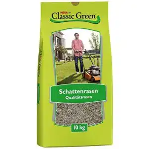 Schattenrasen samen classic green rasensaat schattenrasen