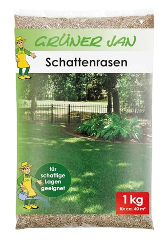 Schattenrasen-Samen Grüner Jan Schattenrasen 1kg Rasensamen