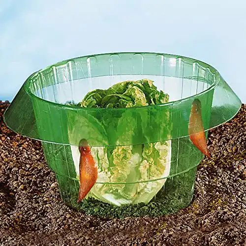 Schneckenzaun TRI Salange, 5 Stück Set für den Garten