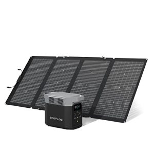 Solaranlage Wohnmobil EF ECOFLOW EcoFlow DELTA 2 tragbar
