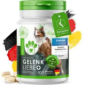 Teufelskralle hund treuepfote 100 gelenktabletten
