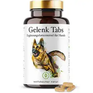 Teufelskralle Hund