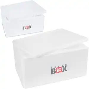 Thermobox therm box styroporbox set 46w 12w wand 3cm