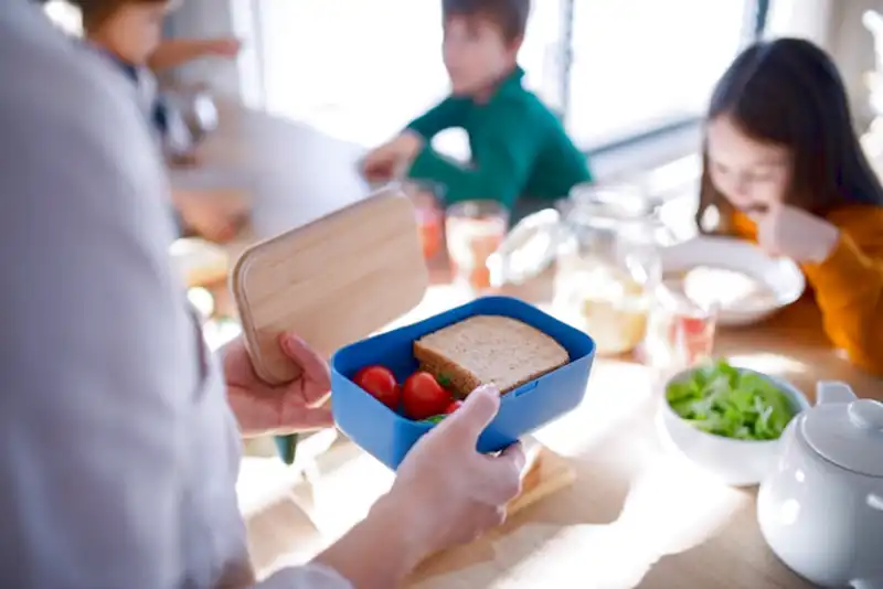 Lunchbox für Kinder_1