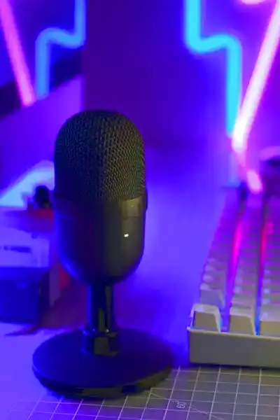 Mikrofon_2