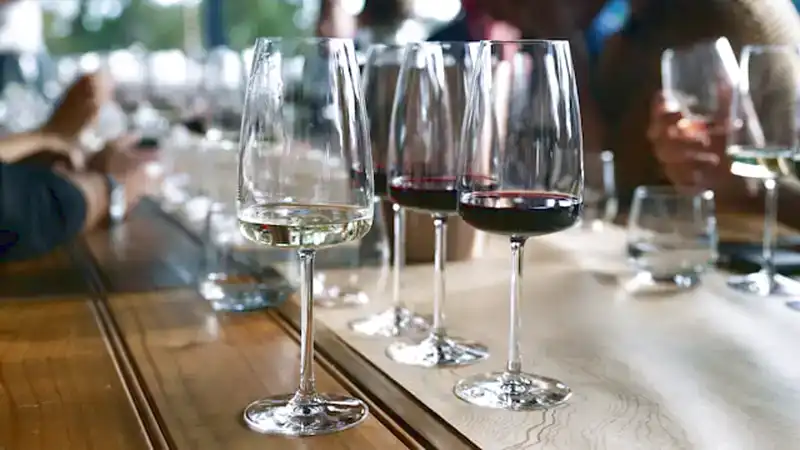Weinbelüfter_3