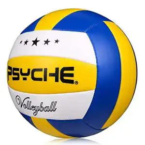 Beachvolleyball wisdom wolf offizielle groesse 5 beach volleyball