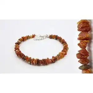 Bernstein halsband hund amber us bernsteinkette fuer hunde