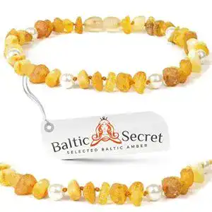 Bernstein halsband hund amberforpets bernsteinkette hund