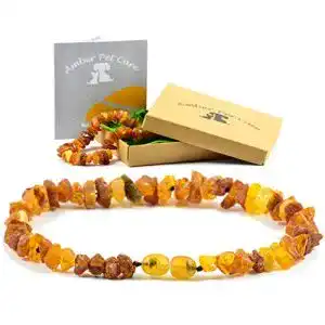 Bernstein halsband hund amberpetcare bernsteinkette fuer hunde